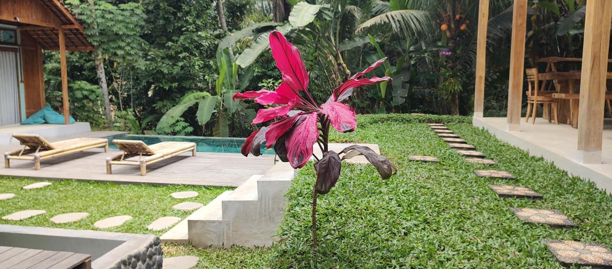 Rumah Guci Ubud  Exterior photo